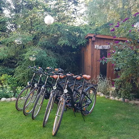 4 Strony Swiata I ジビジノ