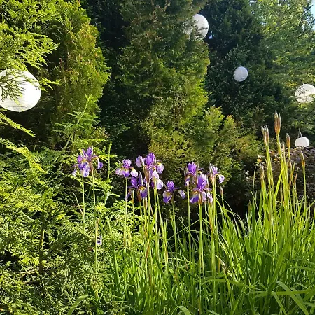 4 Strony Swiata I 3*