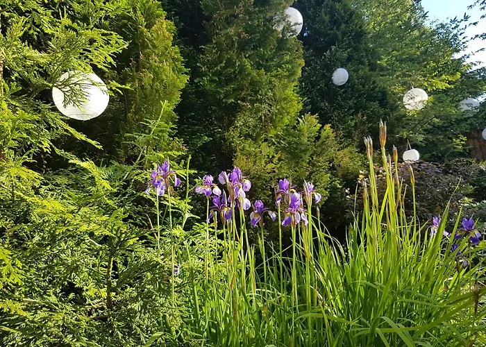 4 Strony Swiata I 3*